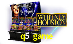 VIP Casino q5 game