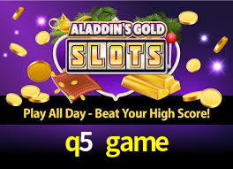 Programa VIP q5 game